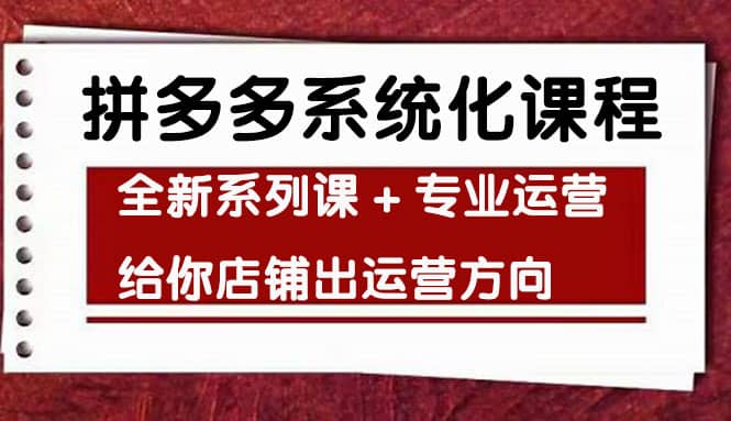 车神陪跑，拼多多系统化课程，全新系列课+专业运营给你店铺出运营方向-枫叶微课堂