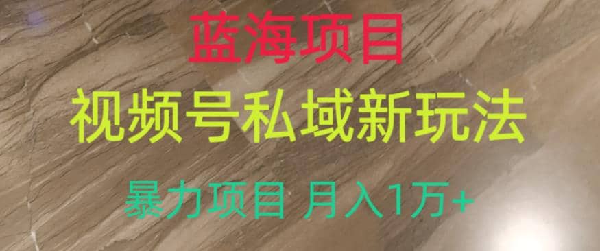 蓝海项目，视频号私域新玩法，暴力项目月入1万+【揭秘】-枫叶微课堂