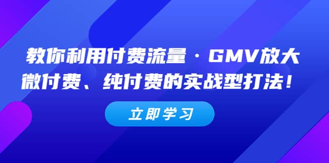 教你利用付费流量·GMV放大，微付费、纯付费的实战型打法-枫叶微课堂