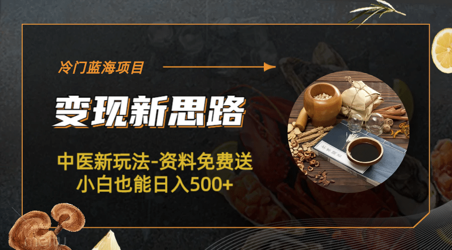 冷门蓝海项目-中医新玩法-冷门蓝海项目-中医新玩法-资料免费送小白也能日入500+500+-枫叶微课堂