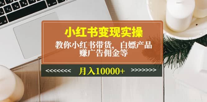 小红书变现实操：教你小红书带货，白嫖产品，赚广告佣金等-枫叶微课堂