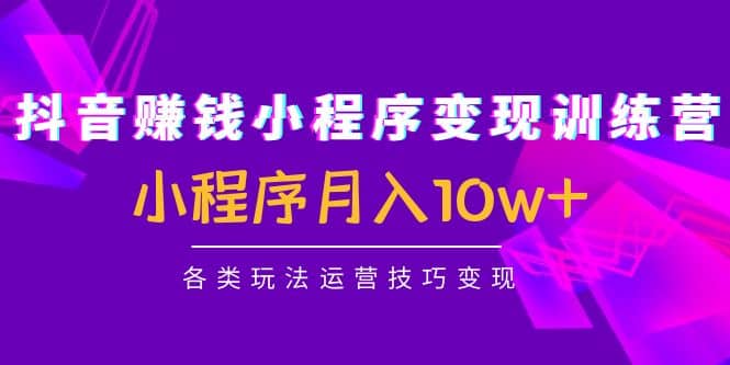 抖音小程序变现训练营：小程序各类玩法运营技巧变现-枫叶微课堂
