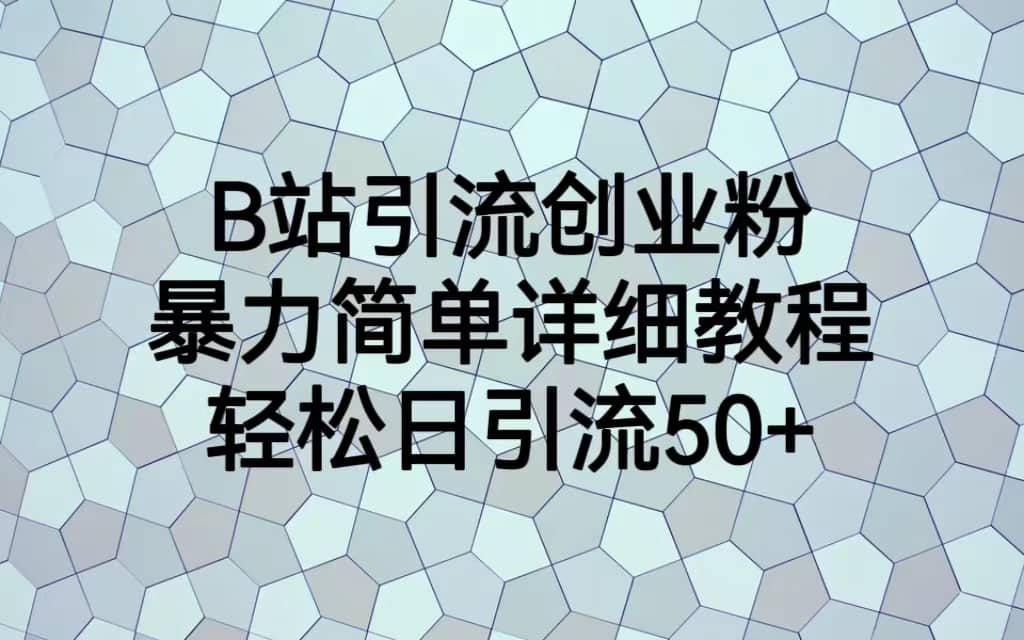B站引流创业粉，暴力简单详细教程，轻松日引流50+-枫叶微课堂