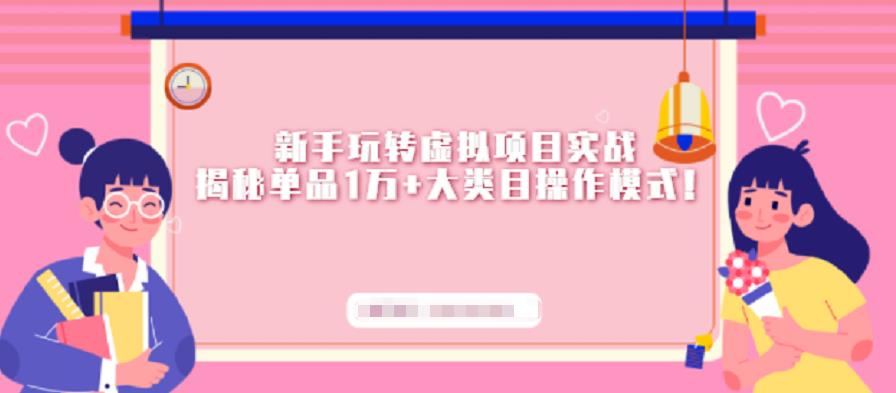 新手玩转虚拟项目实战，揭秘单品1万+大类目操作模式【视频课程】-枫叶微课堂