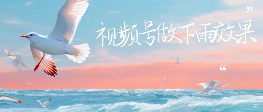 视频号做下雨视频一个账号一周涨粉10W+年入100w-枫叶微课堂