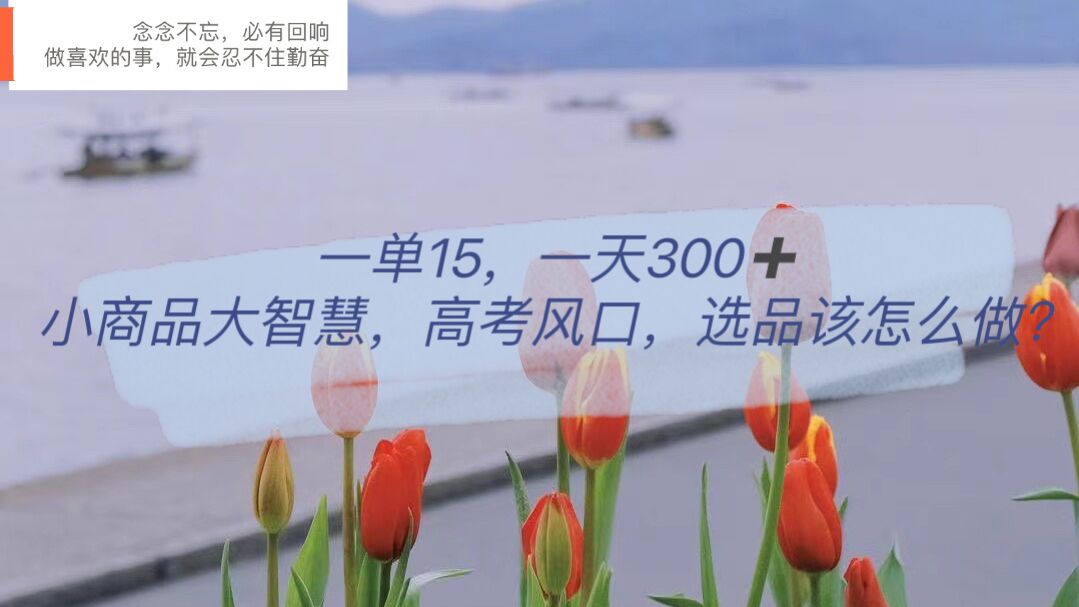 一单15，一天300+，小商品大智慧，高考风口，选品该怎么布局-枫叶微课堂