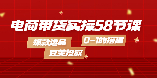 电商带货实操58节课，爆款选品，豆荚投放，0-1的搭建-枫叶微课堂