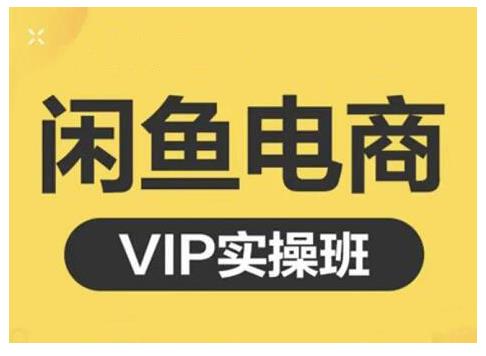 闲鱼电商零基础入门到进阶VIP实战课程，帮助你掌握闲鱼电商所需的各项技能-枫叶微课堂