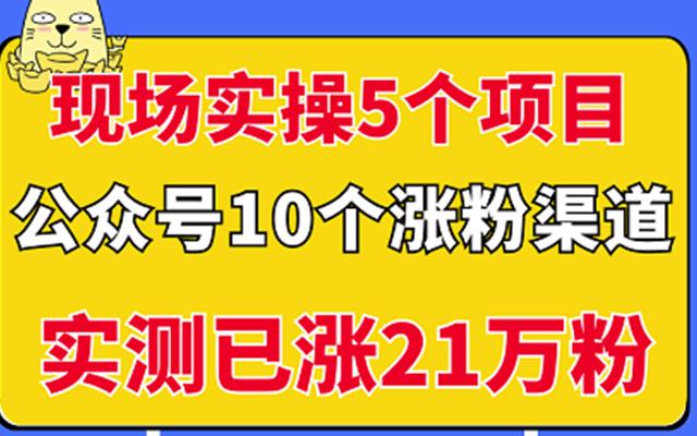 现场实操5个公众号项目，10个涨粉渠道，实测已涨21万粉！-枫叶微课堂