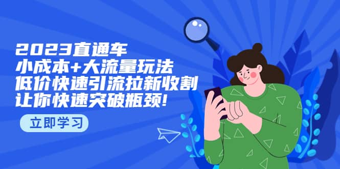 2023直通小成本+大流量玩法，低价快速引流拉新收割，让你快速突破瓶颈-枫叶微课堂