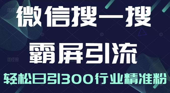 微信搜一搜霸屏引流课，打造被动精准引流系统，轻松日引300行业精准粉【无水印】-枫叶微课堂