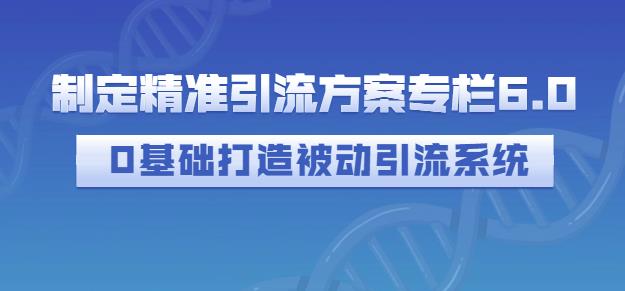 制定精准引流方案专栏6.0，0基础打造被动引流系统-枫叶微课堂