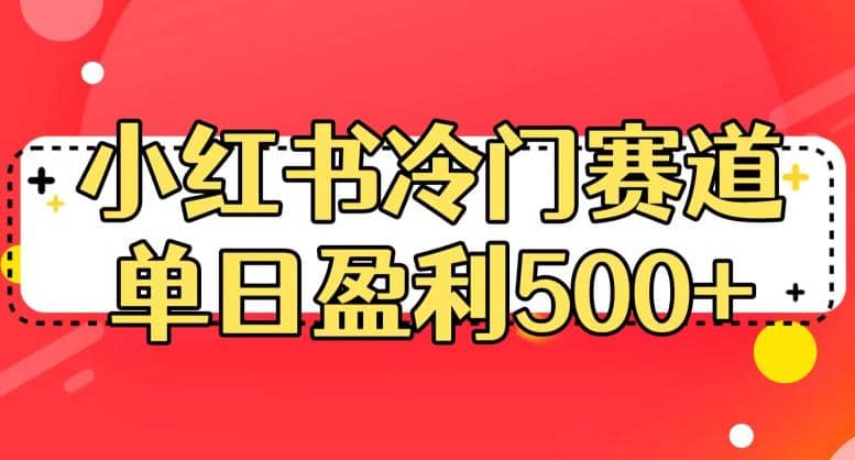 小红书冷门赛道，单日盈利500+【揭秘】-枫叶微课堂