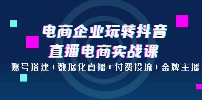 电商企业玩转抖音直播电商实战课：账号搭建+数据化直播+付费投流+金牌主播-枫叶微课堂