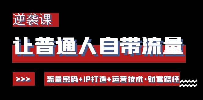 让普通人自带流量的逆袭课：流量密码+IP打造+运营技术·财富路径-枫叶微课堂