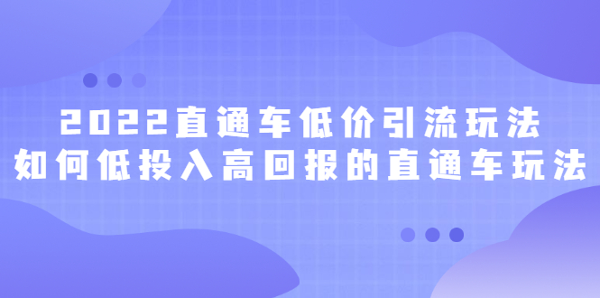 2022直通车低价引流玩法，教大家如何低投入高回报的直通车玩法-枫叶微课堂