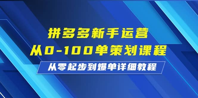 拼多多新手运营从0-100单策划课程，从零起步到爆单详细教程-枫叶微课堂