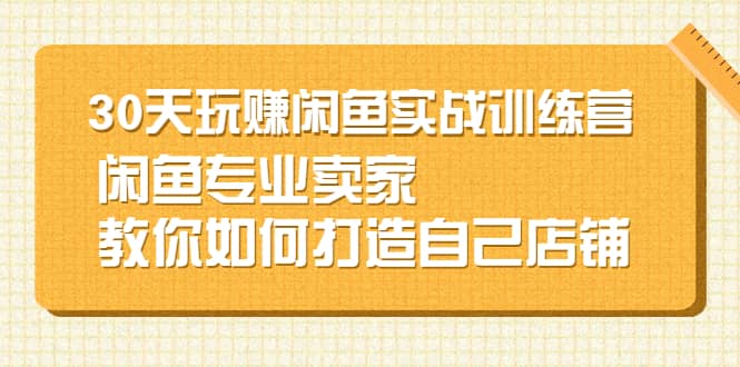 30天玩赚闲鱼实战训练营，闲鱼专业卖家教你如何打造自己店铺-枫叶微课堂