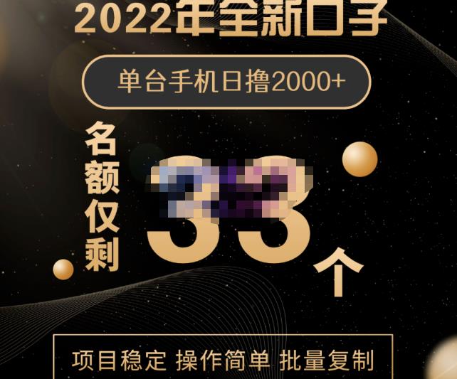 2022年全新口子，手机批量搬砖玩法，一部手机日撸2000+-枫叶微课堂