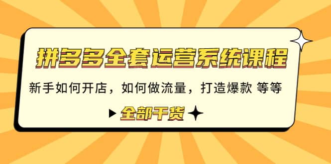 拼多多全套运营系统课程：新手如何开店 如何做流量 打造爆款 等等 全部干货-枫叶微课堂