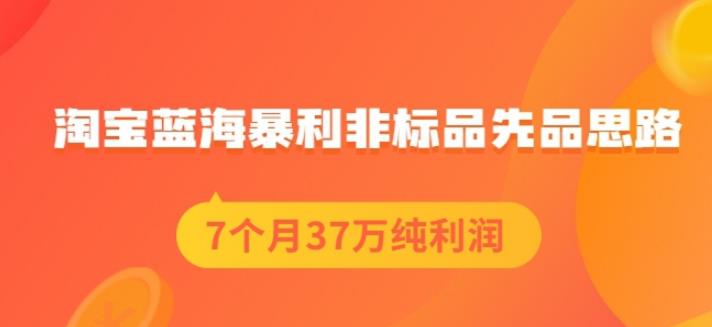 盗坤淘宝蓝海暴利非标品先品思路，7个月37万纯利润，压箱干货分享！【付费文章】-枫叶微课堂