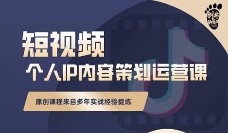 抖音短视频个人ip内容策划实操课，真正做到普通人也能实行落地-枫叶微课堂