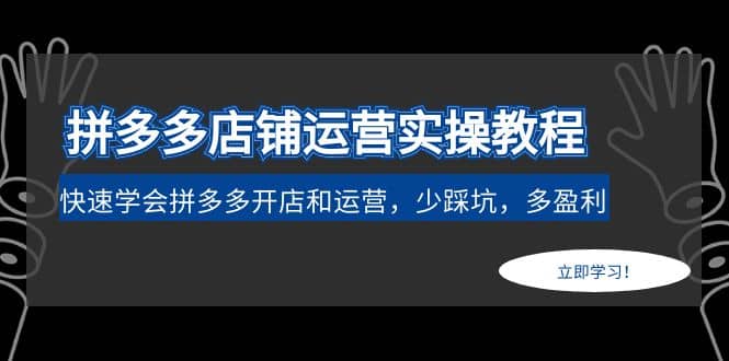 拼多多店铺运营实操教程：快速学会拼多多开店和运营，少踩坑，多盈利-枫叶微课堂