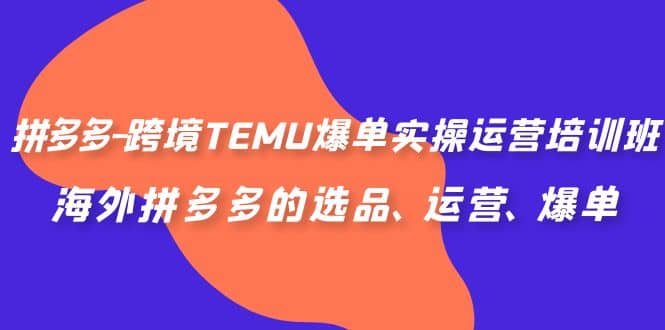 拼多多-跨境TEMU爆单实操运营培训班，海外拼多多的选品、运营、爆单-枫叶微课堂