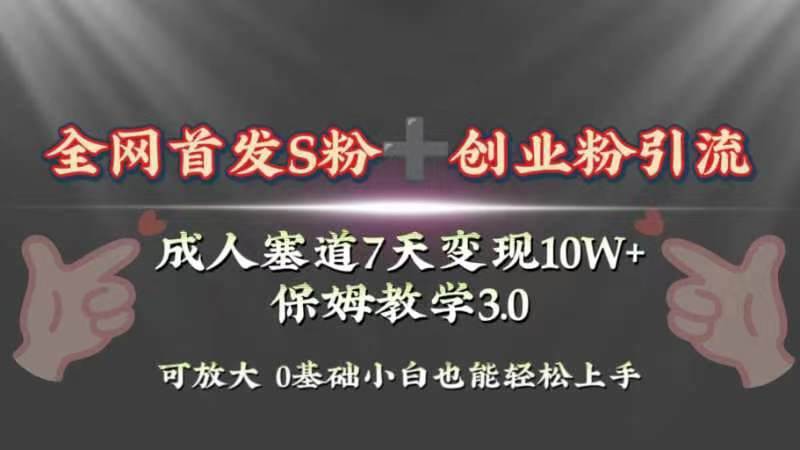 全网首发s粉加创业粉引流变现，成人用品赛道7天变现10w+保姆教学3.0-枫叶微课堂