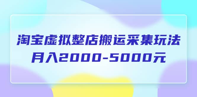 淘宝虚拟整店搬运采集玩法分享课：月入2000-5000元（5节课）-枫叶微课堂
