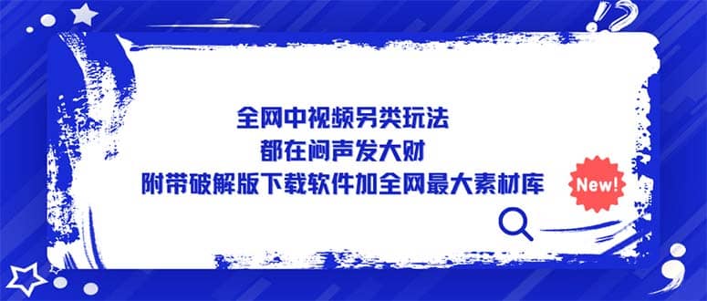 全网中视频另类玩法，都在闷声发大财，附带下载软件加全网最大素材库-枫叶微课堂