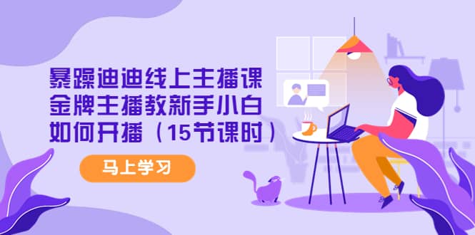 暴躁迪迪线上主播课，金牌主播教新手小白如何开播（15节课时）-枫叶微课堂