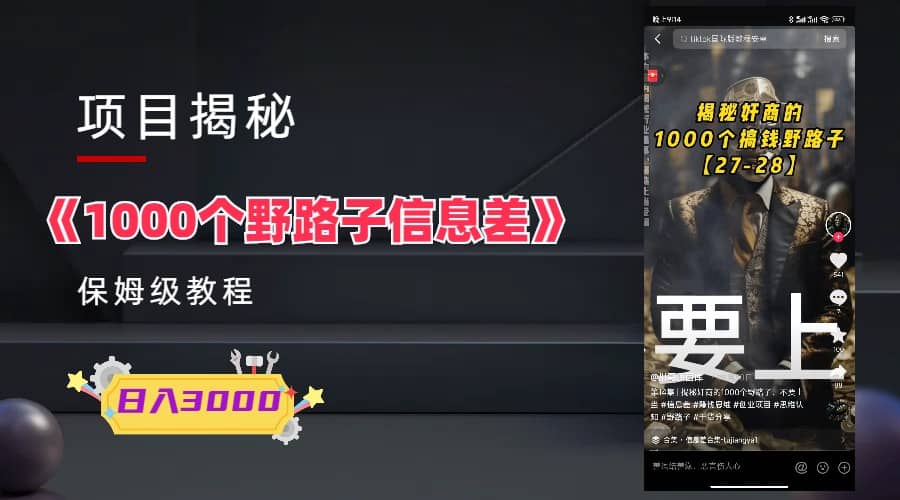 1000个野路子信息差保姆式教程-单日变现3000+的玩法解密-枫叶微课堂