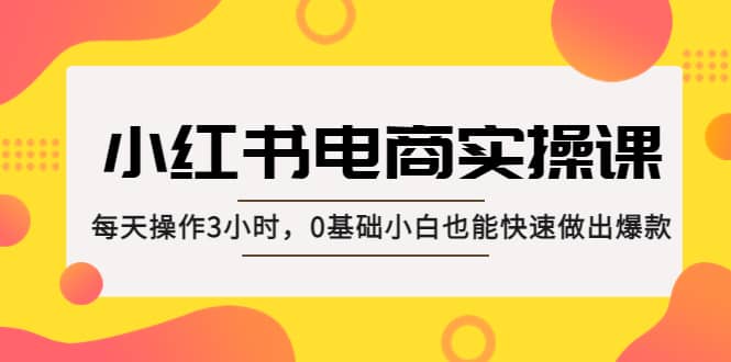 小红书·电商实操课：每天操作3小时，0基础小白也能快速做出爆款-枫叶微课堂