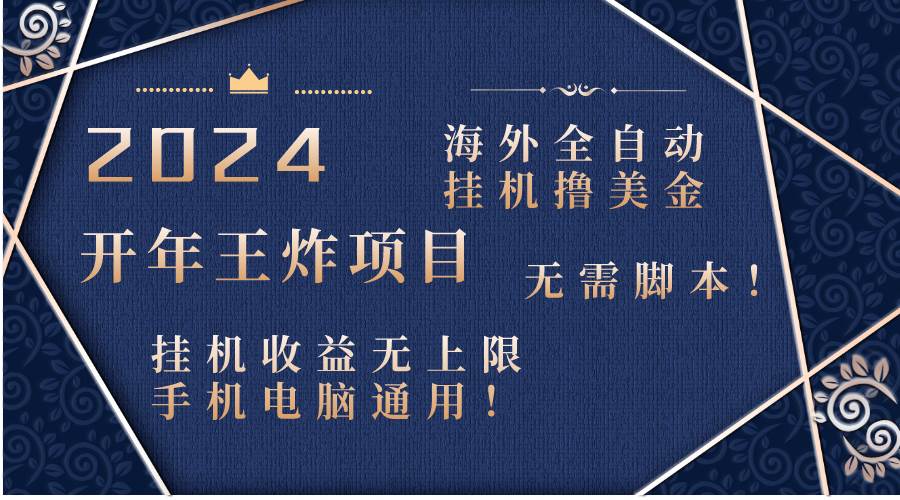 2024海外全自动挂机撸美金项目！手机电脑均可，无需脚本，收益无上限！-枫叶微课堂