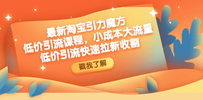 最新淘宝引力魔方低价引流实操：小成本大流量-枫叶微课堂