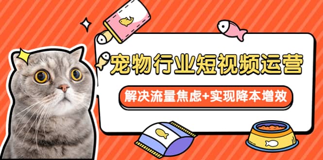 宠物/行业短视频运营 流量增长的一层窗户纸 解决流量焦虑+实现降本增效-枫叶微课堂