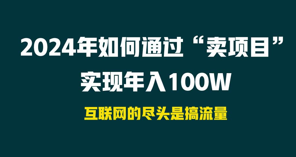 2024年如何通过“卖项目”实现年入100W-枫叶微课堂