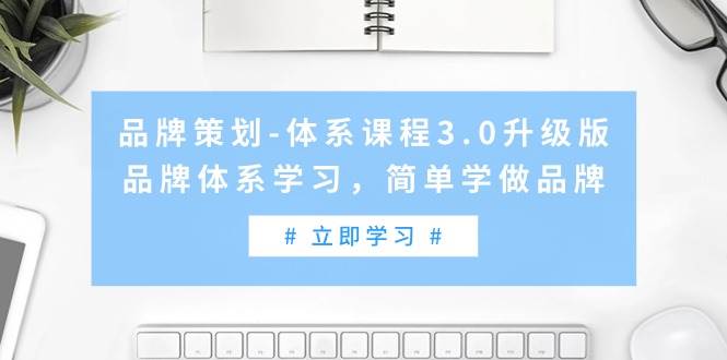 品牌策划-体系课程3.0升级版，品牌体系学习，简单学做品牌（高清无水印）-枫叶微课堂