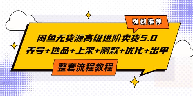 闲鱼无货源高级进阶卖货5.0，养号+选品+上架+测款+优化+出单整套流程教程-枫叶微课堂