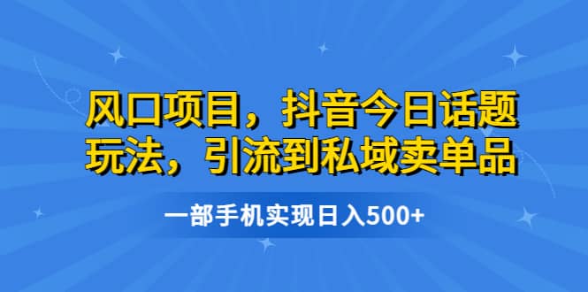 风口项目，抖音今日话题玩法，引流到私域卖单品，一部手机实现日入500+-枫叶微课堂