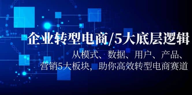 企业转型电商/5大底层逻辑，从模式 数据 用户 产品 营销5大板块，高效转型-枫叶微课堂