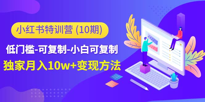 小红书特训营（第10期）低门槛-可复制-小白可复制-枫叶微课堂