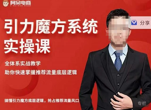 阿呆-引力魔方系统实操课，全体系实战教学，助你快速掌握推荐流量底层逻辑-枫叶微课堂