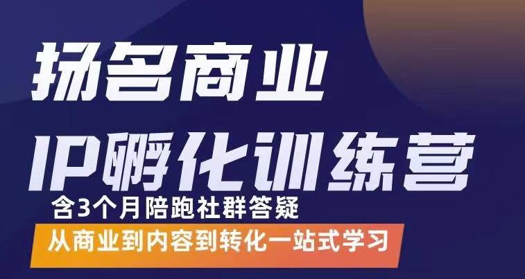 杨名商业IP孵化训练营，从商业到内容到转化一站式学 价值5980元-枫叶微课堂