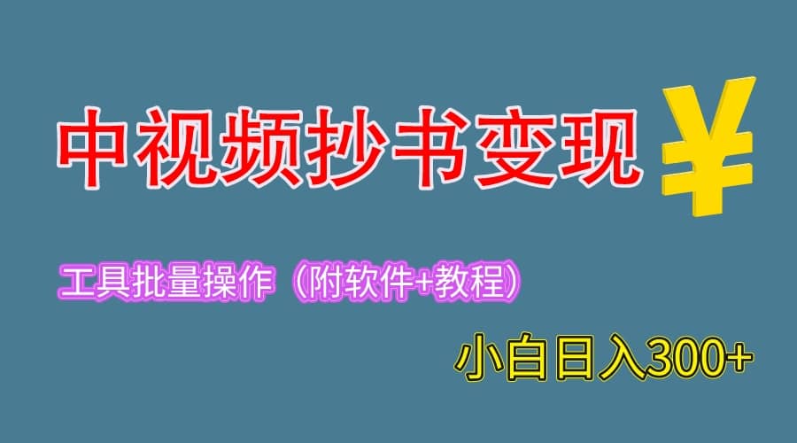 2023中视频抄书变现（附工具+教程），一天300+，特别适合新手操作的副业-枫叶微课堂