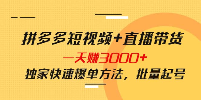 拼多多短视频+直播带货，一天赚3000+独家快速爆单方法，批量起号-枫叶微课堂