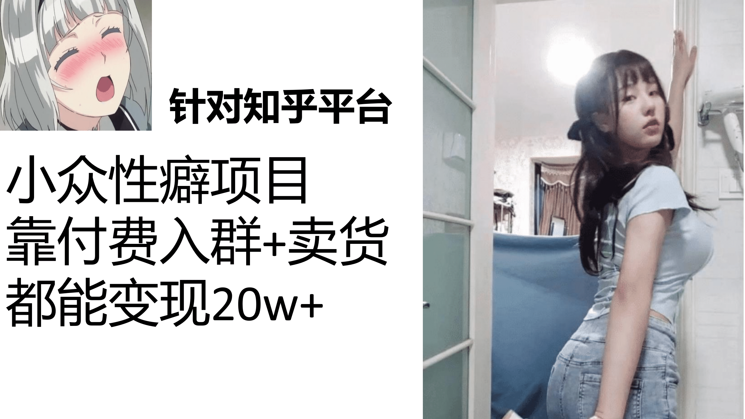 知乎小众性癖项目，Lsp的钱才是最好赚的，付费建群+卖货变现20w-枫叶微课堂