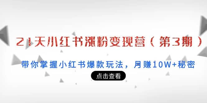 21天小红书涨粉变现营（第3期）：带你掌握小红书爆款玩法，月赚10W+秘密-枫叶微课堂