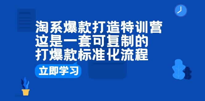 淘系爆款打造特训营：这是一套可复制的打爆款标准化流程-枫叶微课堂